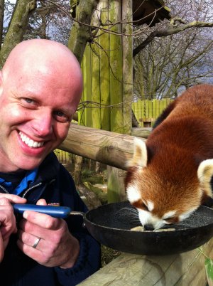 Mark Kenward with Red Panda Mulan at Drusillas Park_1.jpg